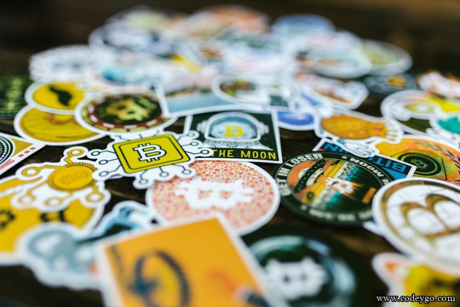 Unleashing the Power: Blockchain & Web Development